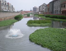 黑臭水体治理技术